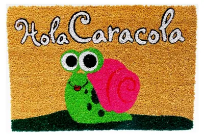 Produktbild von Koko Doormats Fußmatte außen - Türmatte aus Kokos mit rutschfester PVC-Rückseite - Fußmatte HOLA Design - Größe: 60 x 40 x 1,5 cm