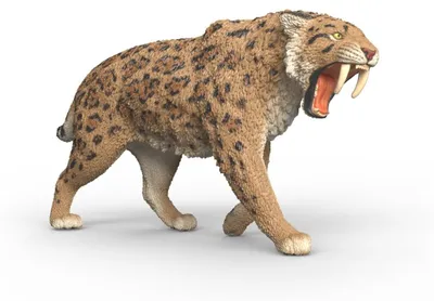 Zdjęcie produktu dla schleich WILD LIFE 15054, 5 lat(a), Wielobarwny, Plastik