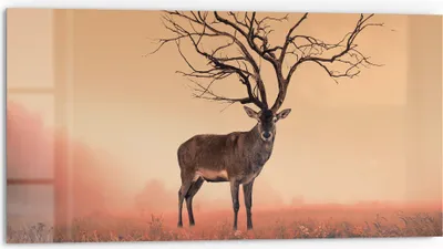 Produktbild von DEQORI Küchenrückwand Glas 80x40 cm 'Zauberwaldhirsch' Spritzschutz Bad Rückwand Küche