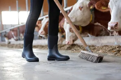 Produktbild von Covalliero NeoLite Mid Gummistiefel halbhoch