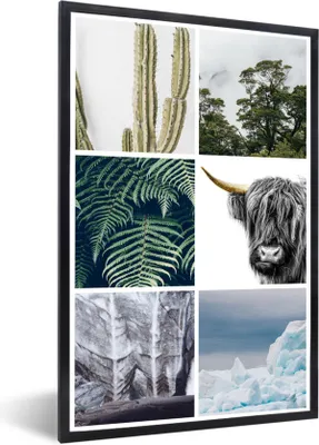 Produktbild von MuchoWow® MuchoWow® Gerahmtes Poster Schottisches Hochlandrind - Collage - Kaktus - Pflanzen 20x30 cm - Poster mit zchwarzem Bilderrahmen - Drucken - Bilder Poster im Rahmen