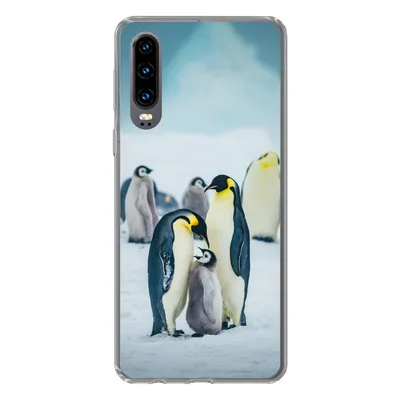 Produktbild von MuchoWow® Handyhülle Schutzhülle Hülle für Huawei P30 Kaiserpinguin-Küken wird gefüttert Silikon Softcase Handy Hülle - Kartenbesitzer