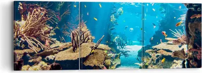 Produktbild von Bild auf Leinwand - Leinwandbild - Ozean Riff Fische Koralle - 90x30cm - Wand Bild - Wanddeko - Leinwanddruck - Bilder - Kunstdruck - Wanddekoration - Leinwand bilder - Wandkunst - CA90x30-2872