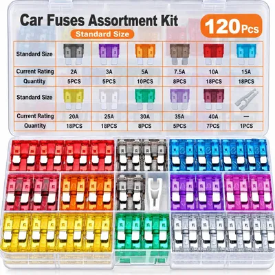 120 Auto-Flachsicherungen 2A-40A in Sortierbox