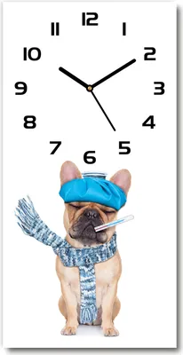 Produktbild von Wanduhr aus Glas – 30x60 cm - Glasbild - Glasuhr - Gehärtetes Glas -Kranker Hund