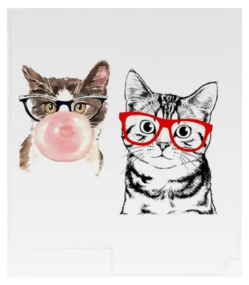 Produktbild von Lustige Katzen Küchentücher, 2 Stück Mikrofasertücher Geschirrtücher, 40 x 60 cm Strapazierfähige Geschirrhandtücher, Vielseitige Handtücher, Praktische Geschenke für Katzenliebhaber