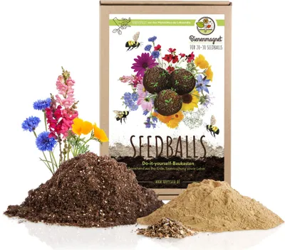 Produktbild von Samenbomben selber machen für eine bunte Bienenweide - Bienenfreundlicher Seedbomb Bausatz für 20-30 Seedbombs