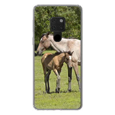 Produktbild von MuchoWow® Handyhülle Schutzhülle Hülle für Huawei P40 Lite Pferde - Gras - Schatten Silikon Softcase Handy Hülle - Handy