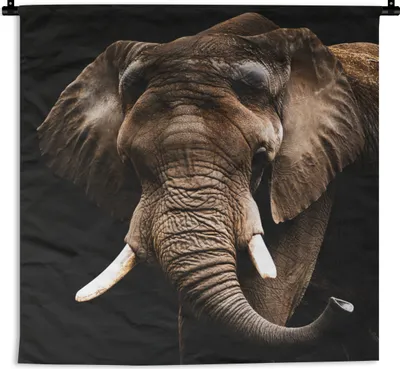 Produktbild von MuchoWow® Wandteppich Wandbehang Elefant - Tiere - Zähne 150x150 cm Tapisserie Dekoration Wandtuch - Wohnaccessoires - Modernes