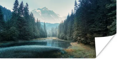 Produktbild von MuchoWow® Poster Wald - Gras - Berge - Bäume - Natur 40x20 cm - Poster für die Wand - Poster Schlafzimmer
