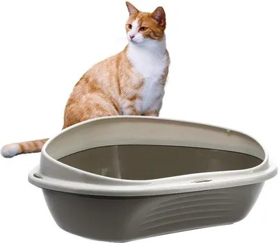 Produktbild von Famanu Katzenklo Eckig Klein mit Rand - Offen Grau