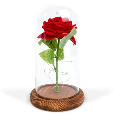 Produktbild von Ewige Rose mit LED-Beleuchtung - 11,5 x 22 cm
