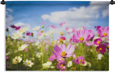 Produktbild von MuchoWow® Wandteppich Wandbehang Blumen - Wiese - Lila - Gras - Weiß - Wolken - Blau 120x80 cm Tapisserie Dekoration Wandtuch - Wanddekorationen - Wandtücher