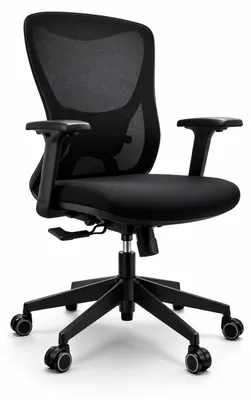 Obrázek produktu pro Ergonomická kancelářská židle se síťovým opěradlem a nastavitelnými područkami