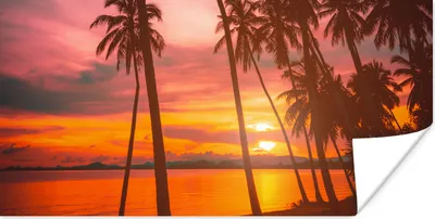 Produktbild von MuchoWow® Poster Meer - Palme - Sonnenuntergang - Strand - Silhouette 150x75 cm - ohne Rahmen