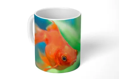 Produktbild von KitchenYeah® Tasse Kaffeetasse Kaffeebecher 350 ml Goldfisch in einem Süßwasseraquarium Teetasse - Fototasse - Becher - Keramikbecher - Teebecher - Kaffeetasse - Bürotasse