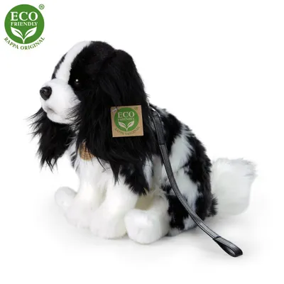 Image de Peluche King Charles Spaniel Avec Laisse 27 Cm Eco-f.