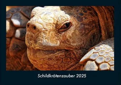 Produktbild von Schildkrötenzauber 2025 Fotokalender DIN A4