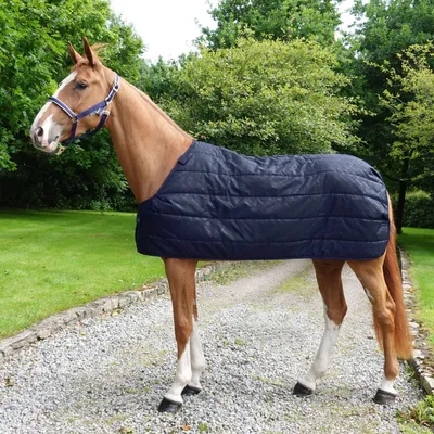Produktbild von Bucas Unterdecke Liner 100g Navy 125