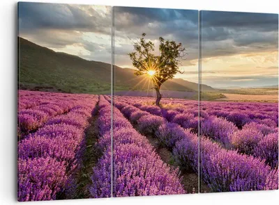 Produktbild von Bild auf Leinwand - Leinwandbild - Lavendel Berge Feld - 105x70cm - Wand Bild - Wanddeko - Leinwanddruck - Bilder - Kunstdruck - Wanddekoration - Leinwand bilder - Wandkunst - CE105x70-3645