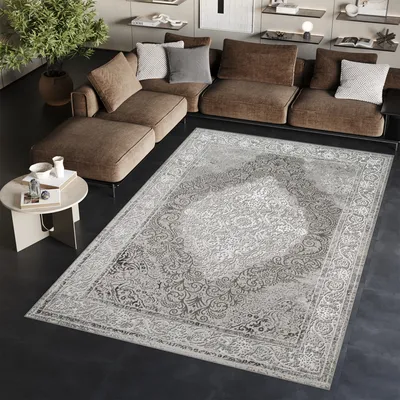 Image de Tapis Tapis ARES gris classique Salon Chambre à coucher ÖKO-TEX 250 x 350 cm
