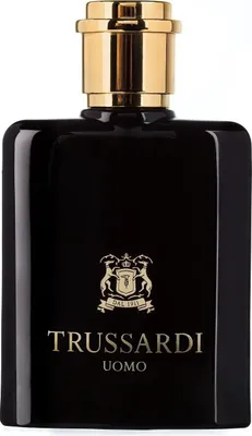 Produktbild von Trussardi Uomo, Männer, 100 ml, Nicht nachfüllbare Flasche, Bergamotte, Galbanharz, Zitrone, Geranium, Violett, Leder, Moschus, Patschuli