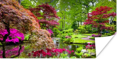 Produktbild von MuchoWow® Poster Bäume - Blumen - Japanisch - Natur - Wasser 40x20 cm - Poster für die Wand - Poster Schlafzimmer