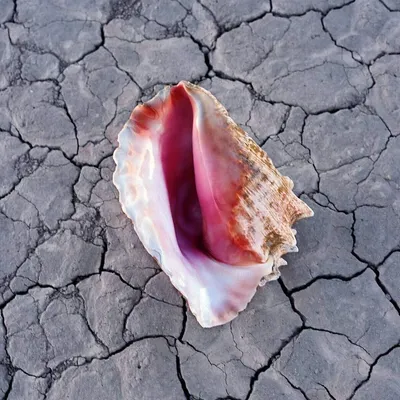 Produktbild von Wonderful Wonderful (Deluxe Edt.)