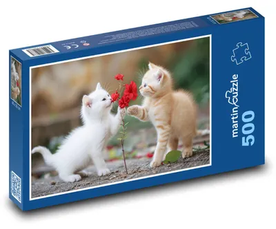 Obrázek produktu pro Puzzle 500 Koťata s Květinou - martinpuzzle