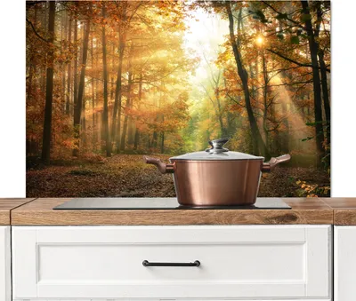 Produktbild von KitchenYeah®  Spritzschutz Küche - Küchenrückwand - Wandschutz für Herd und Spüle - Wald - Herbst - Sonne - Landschaft - Natur - Bäume - Laub 100x65 - Alu-Dibond (Alternative zum Spritzschutz aus Glas