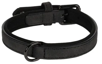 Image de Collier pour chien avec doublure néoprène