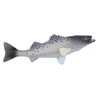 Zdjęcie produktu dla Weever Model,Simulation Weever Model,Weever Model Toy,Weever Model Decoration,Weever Model Ornament,Marine Animal Weever Model