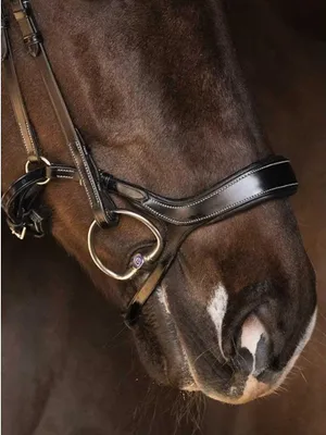 Obrázok produktu pre Ps Of Sweden Pioneer Noseband Brown Cob Brown Cob