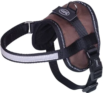 Image de Harnais Nobby « Seguro » Mini marron Tour de poitrine : 31-40 cm
