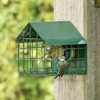 Produktbild von CJ Wildlife Erdnussbutterhaus - Vogelfutterspender für Gartenvögel