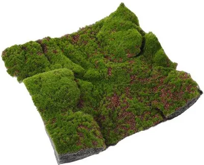 Obrázek produktu pro Umělý trávník – realistická zahradní dekorace – 30 x 30 x 4,5 cm