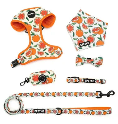 Produktbild von Welpengeschirr mit Leine Set, Mesh Hundegeschirr für kleine Hunde, Blumenmuster, Orange S