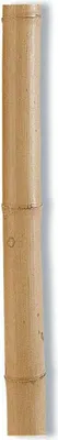 Image de Support de plantation décoratif Nortene Ø 8,5 cm x 2,4 m en bambou naturel