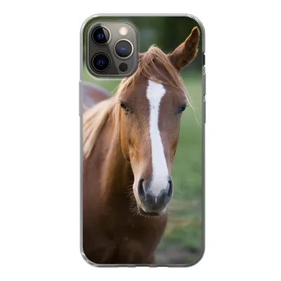 Produktbild von MuchoWow® Handyhülle Schutzhülle Hülle für iPhone 12 Pro Pferd - Natur - Porträt Silikon Softcase Handy Hülle - Abdeckung