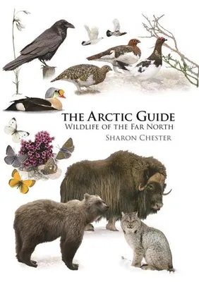 Obrázek produktu pro The Arctic Guide