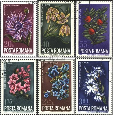 Produktbild von Briefmarken Rumänien 1974 Mi 3224-3229 (kompl.Ausg.) postfrisch Pflanzen