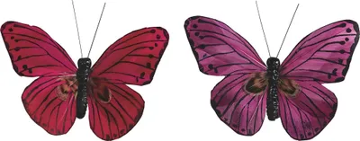 Produktbild von KNORR PRANDELL 218030908 Schmetterling 7 x 9 cm rot fuchsia