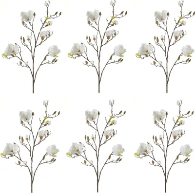 Produktbild von 6er Set künstliche Magnolienzweige creme weiß H. 105cm Emerald Kunstblumen