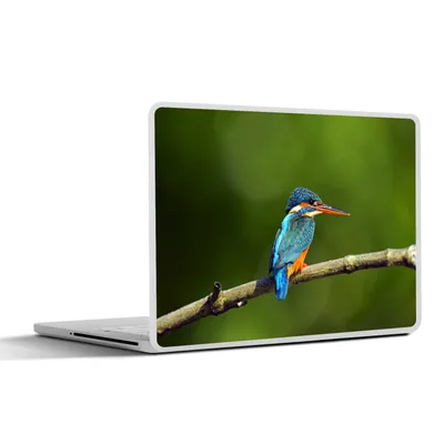 Produktbild von MuchoWow® Laptop Aufkleber Sticker Cover Sri Lanka - Wildtiere - Eisvogel 31x22.5 cm - Laptop-Deko