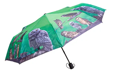 Produktbild von 1 Taschenschirm Eulen, Automatikschirm Schirm Schirme Tiere Tier Eule Vögel
