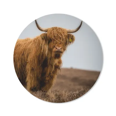 Produktbild von MuchoWow® Mauspad Mousepad Schottischer Highlander - Düne - Gras 50x50 cm - Mousepads - Maus Mat - Pad - Mausunterlage - Vinyl