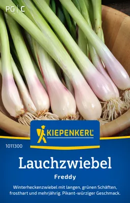 Produktbild von Kiepenkerl Lauchzwiebelsamen Freddy Allium fistulosum 4-6 lfd. Meter