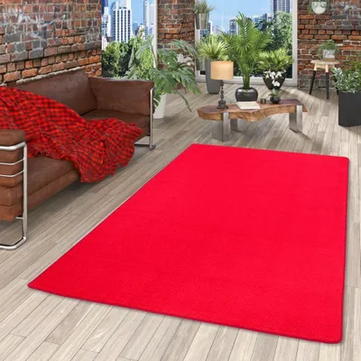 A red rug is placed on a wooden floor in a living room setting with a brown sofa and plants.