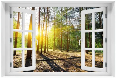 Produktbild von Wallario Premium Glasbild mit Fensterrahmen, freischwebende Optik, kräftige Farben, Größe 60 x 90 cm Motiv Sonnenstrahlen tief hinter dem Wald