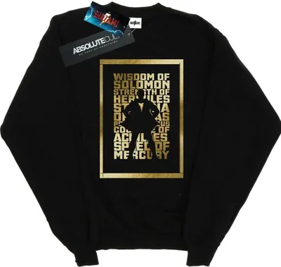 Produktbild von DC Comics - Sweatshirt für Herren BI44507 (3XL) (Schwarz)